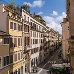 Baboon Rome